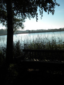 dscn2819