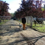 dscn2823