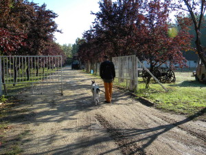dscn2823